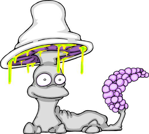 A field image of Gluecap.